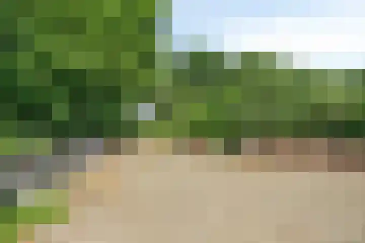 Kesselseweg 43 Reuver thumbnail 47