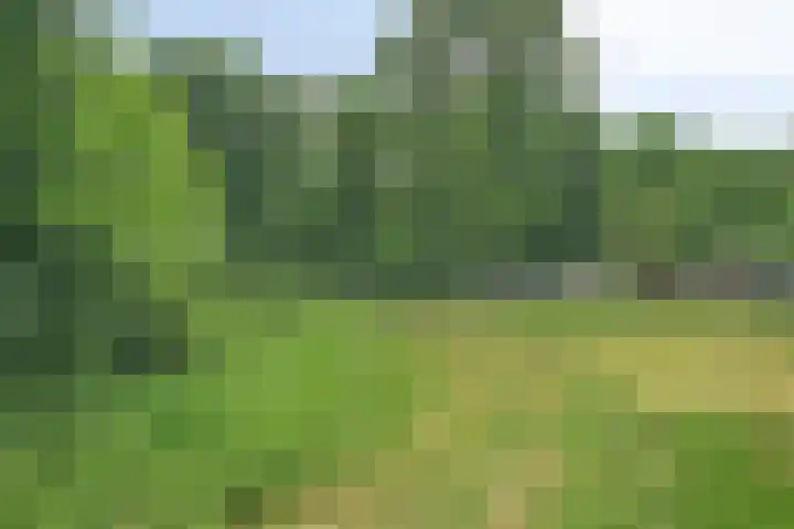 Kesselseweg 43 Reuver thumbnail 48