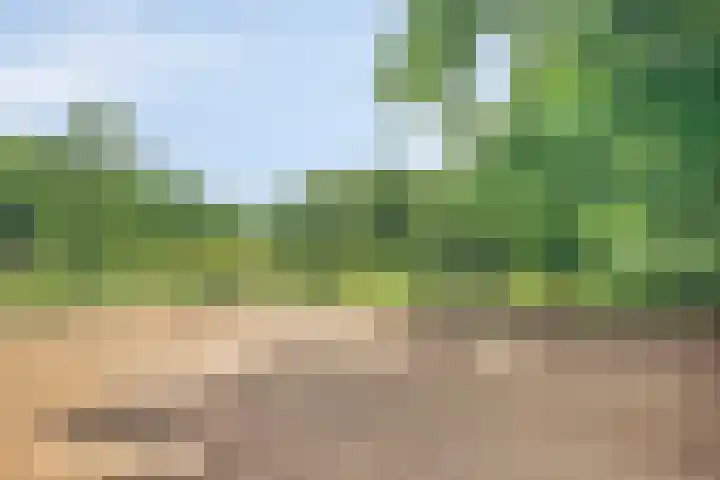 Kesselseweg 43 Reuver thumbnail 49