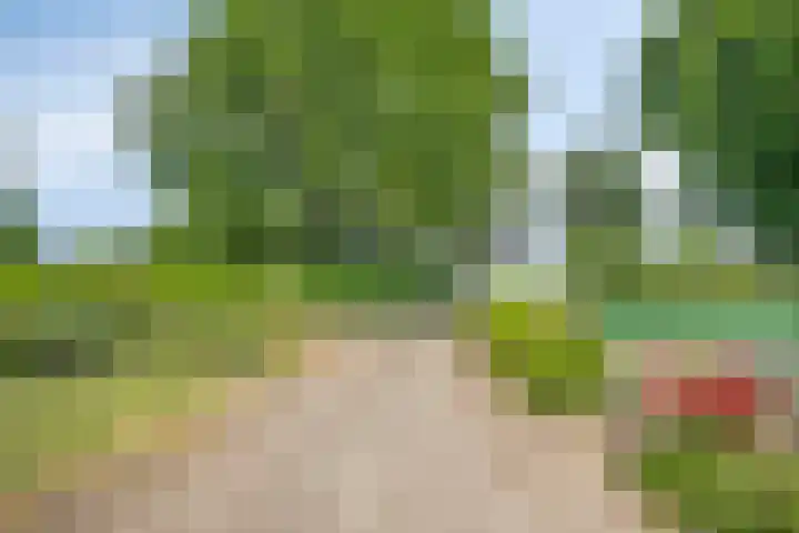 Kesselseweg 43 Reuver thumbnail 5