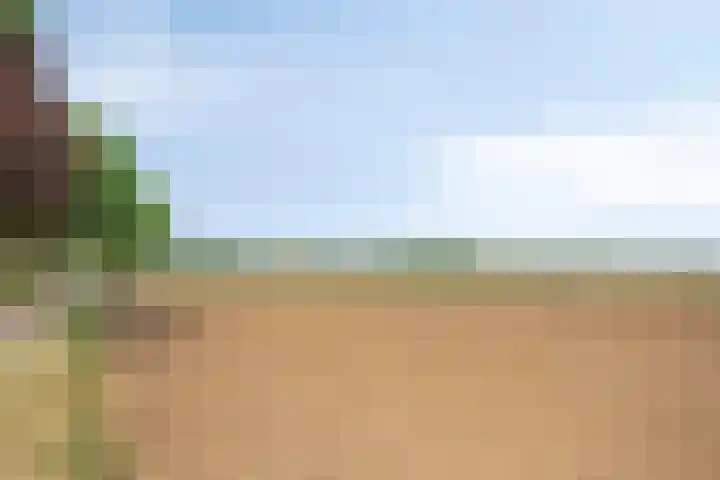 Kesselseweg 43 Reuver thumbnail 51