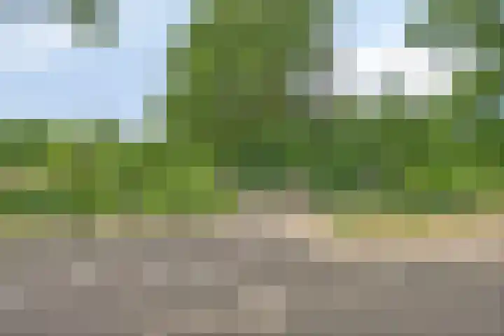 Kesselseweg 43 Reuver thumbnail 53