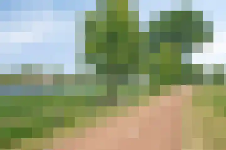 Kesselseweg 43 Reuver thumbnail 54