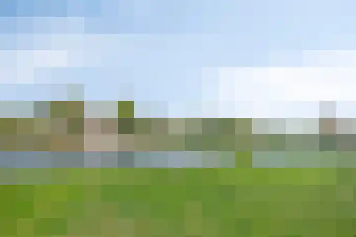 Kesselseweg 43 Reuver thumbnail 55