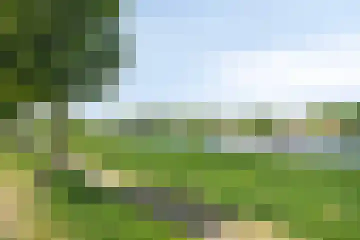 Kesselseweg 43 Reuver thumbnail 56