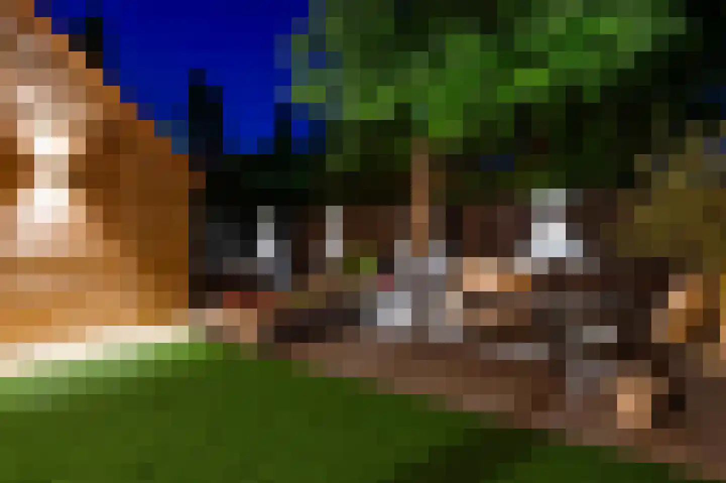 Kesselstraat 18 Weert thumbnail 31