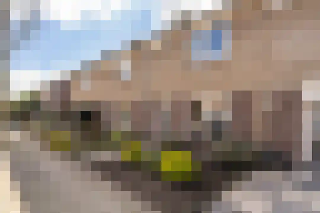 Kesselstraat 40 Weert thumbnail 6