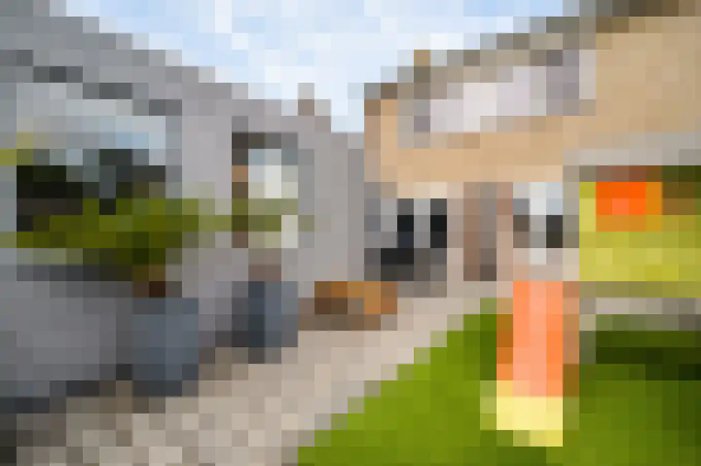 Kesselstraat 46 Weert thumbnail 41
