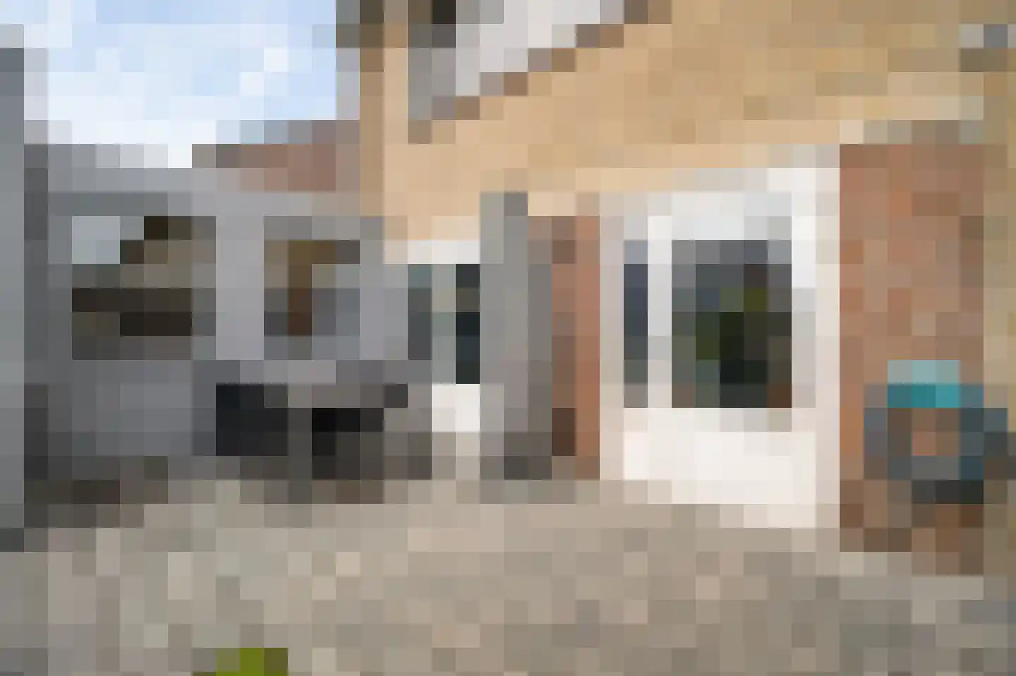 Kesselstraat 46 Weert thumbnail 42