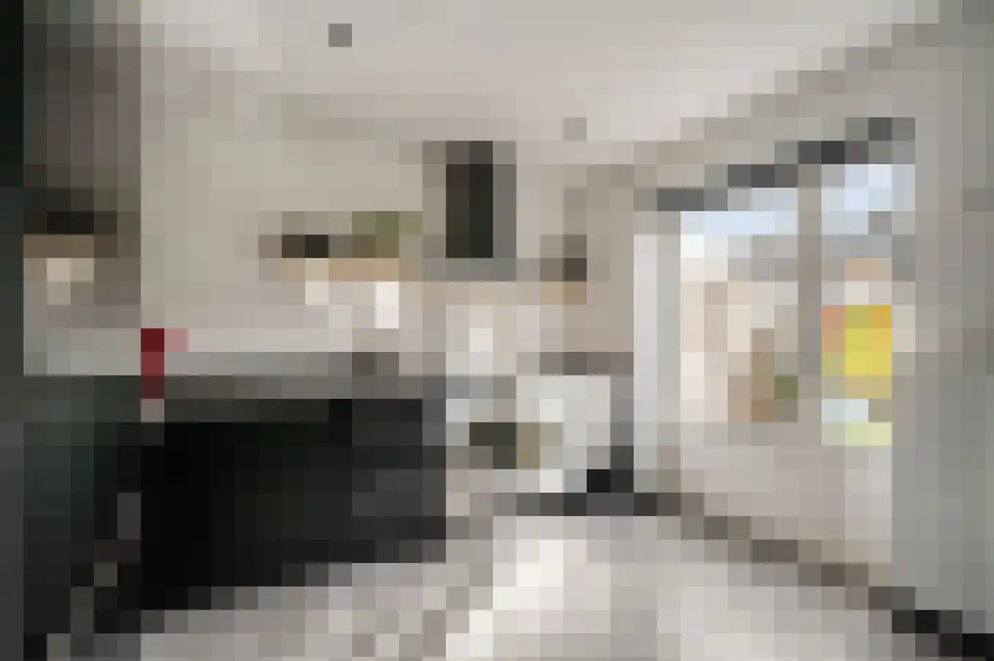 Kesselstraat 46 Weert thumbnail 5