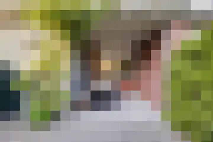 Kesteloostraat 21 Middelburg thumbnail 4