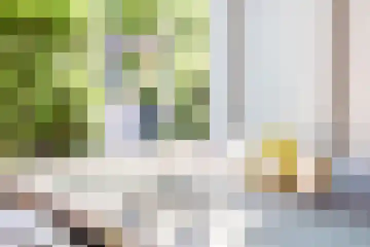 Kesteloostraat 21 Middelburg thumbnail 5