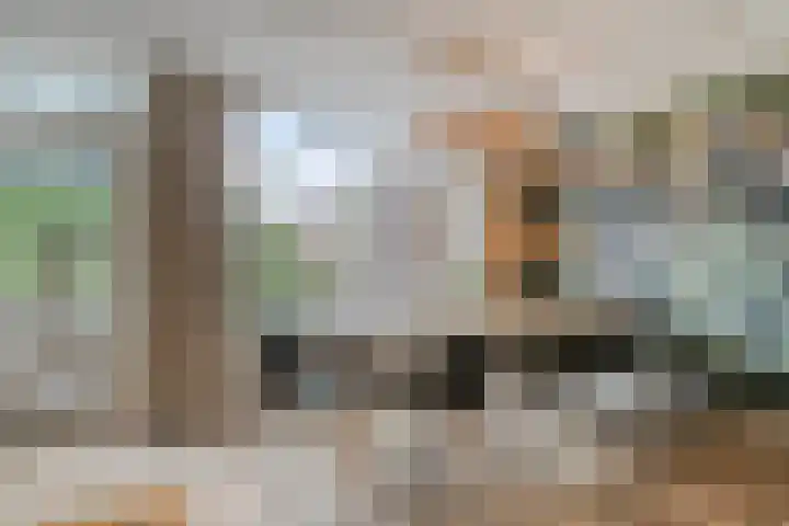 Kesterenlaan 114 Breda thumbnail 14