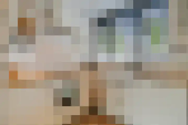 Kesterenlaan 114 Breda thumbnail 18