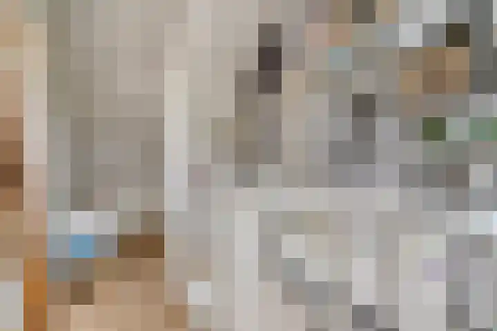 Kesterenlaan 114 Breda thumbnail 31