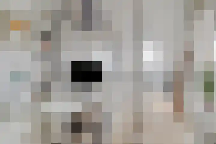 Kesterenlaan 114 Breda thumbnail 32