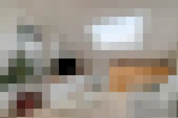 Kesterenlaan 114 Breda thumbnail 34