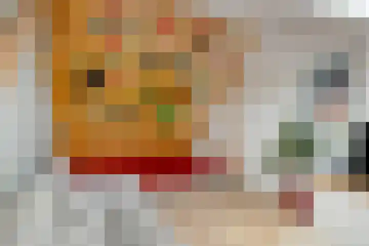 Kesterenlaan 114 Breda thumbnail 35