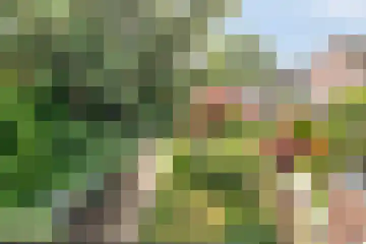 Kesterenlaan 114 Breda thumbnail 36