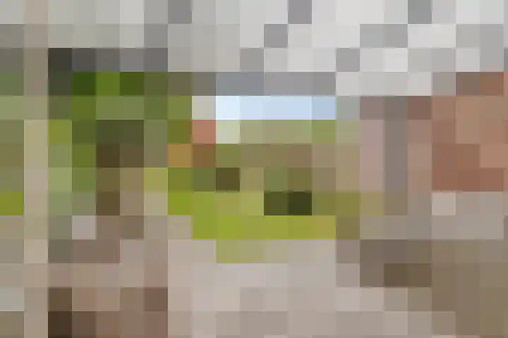 Kesterenlaan 114 Breda thumbnail 37