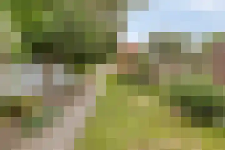 Kesterenlaan 114 Breda thumbnail 41