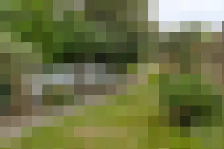 Kesterenlaan 114 Breda thumbnail 42