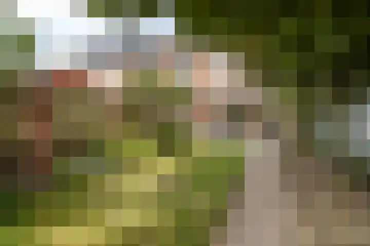 Kesterenlaan 114 Breda thumbnail 43