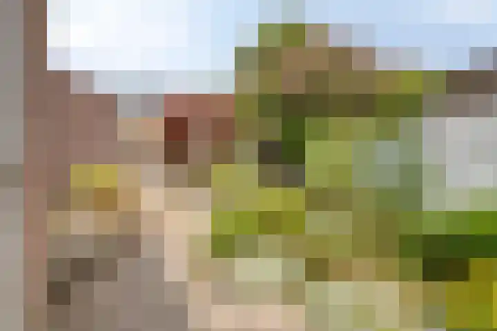 Kesterenlaan 114 Breda thumbnail 44