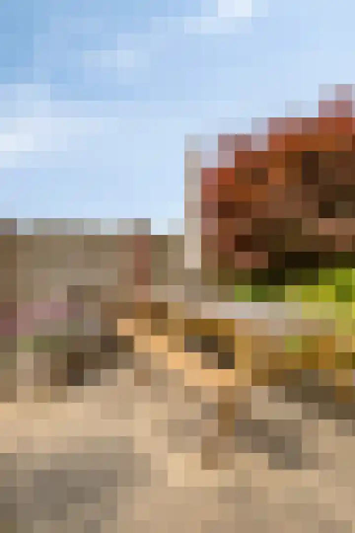 Kesterenlaan 114 Breda thumbnail 45