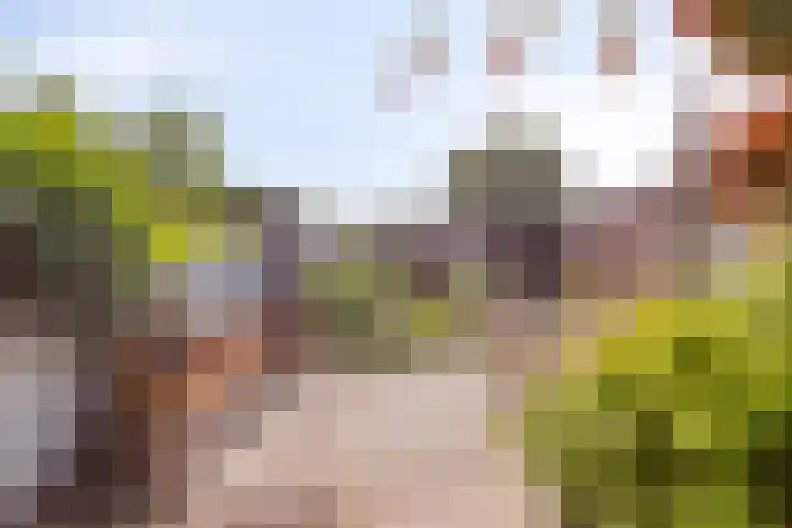 Kesterenlaan 114 Breda thumbnail 5