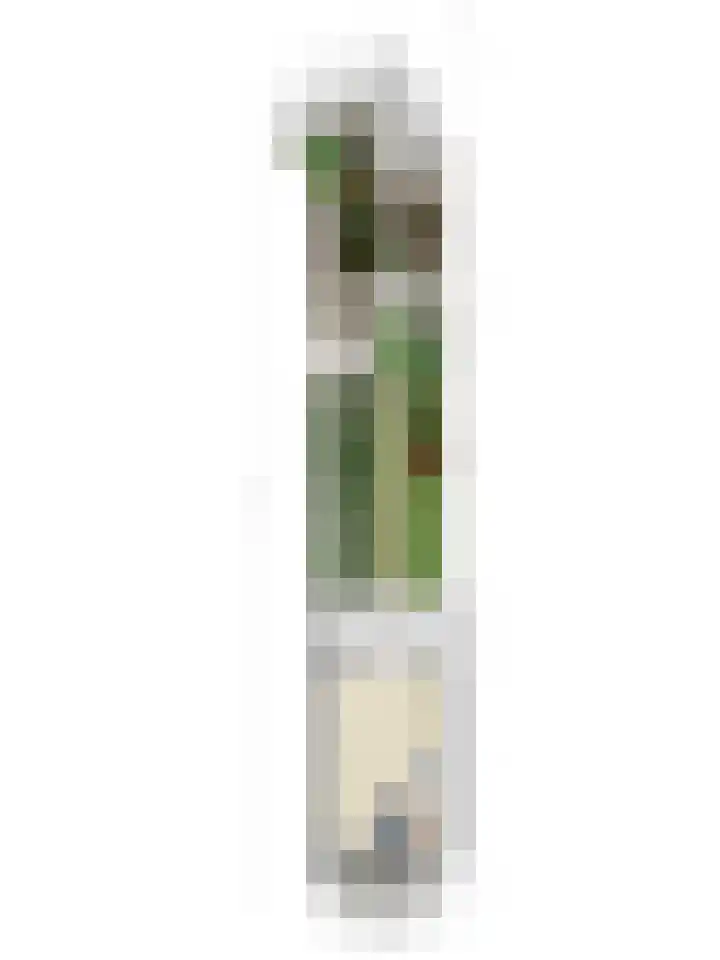 Kesterenlaan 114 Breda thumbnail 59