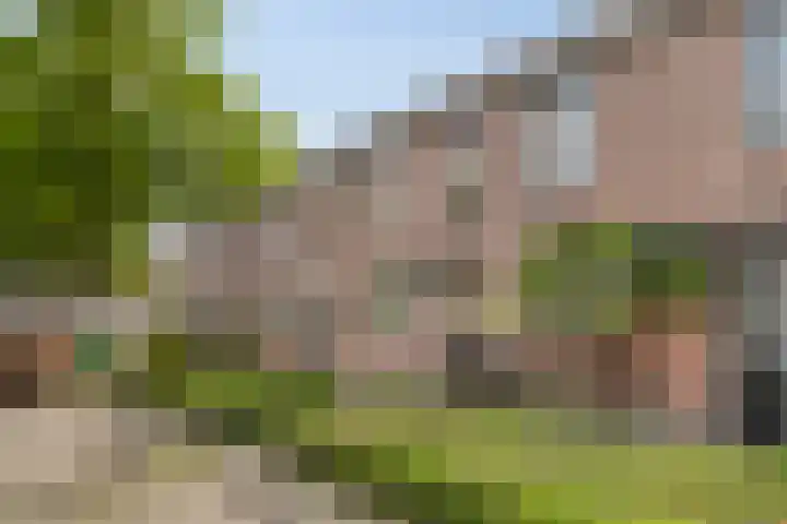 Kesterenlaan 114 Breda thumbnail 6