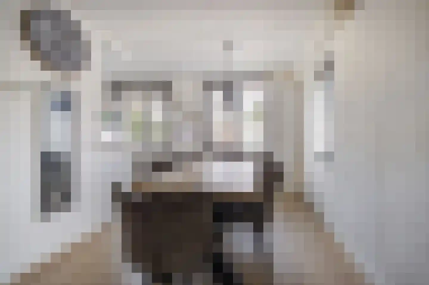 Kesterenlaan 157 Breda thumbnail 12