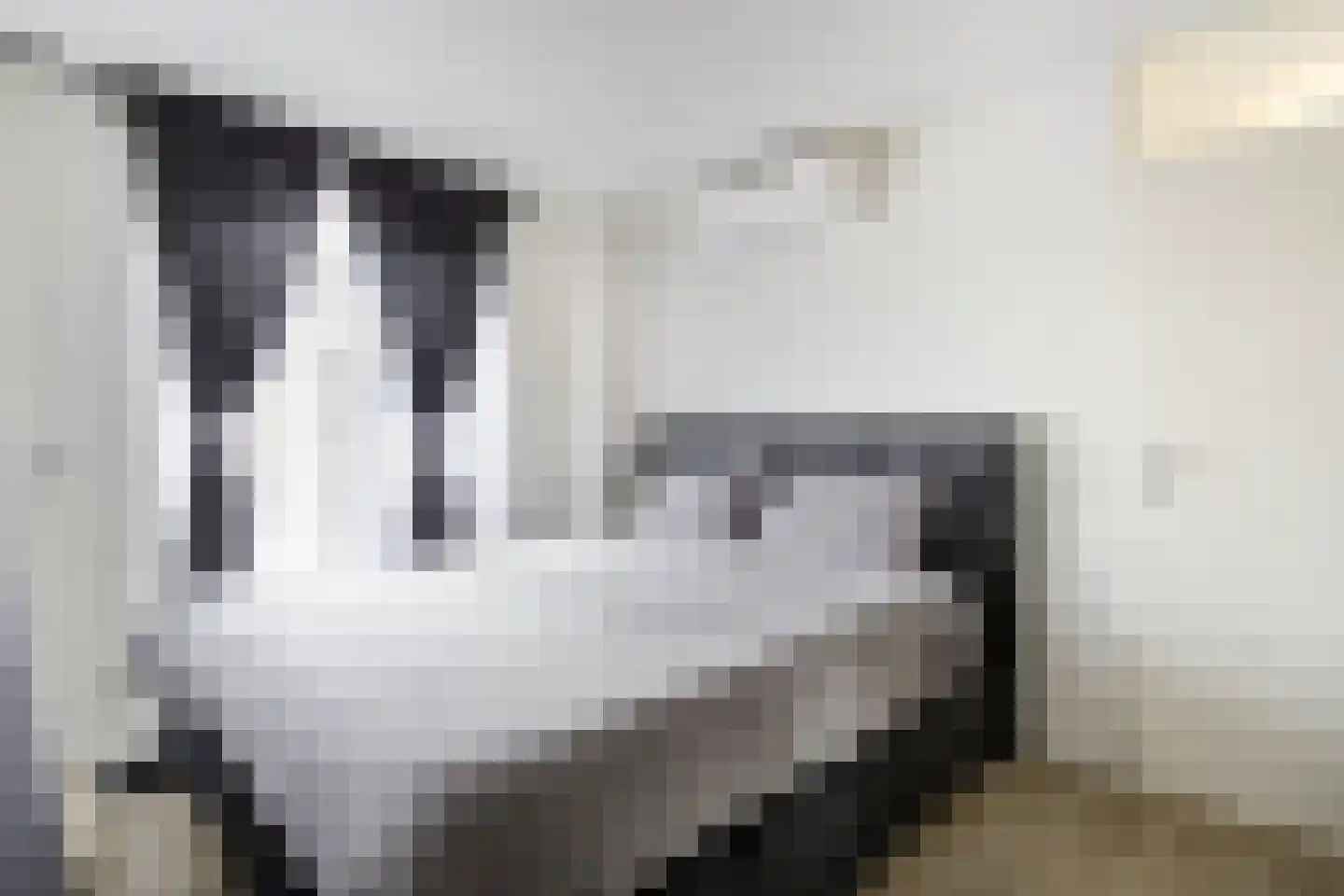 Kesterenlaan 157 Breda thumbnail 20