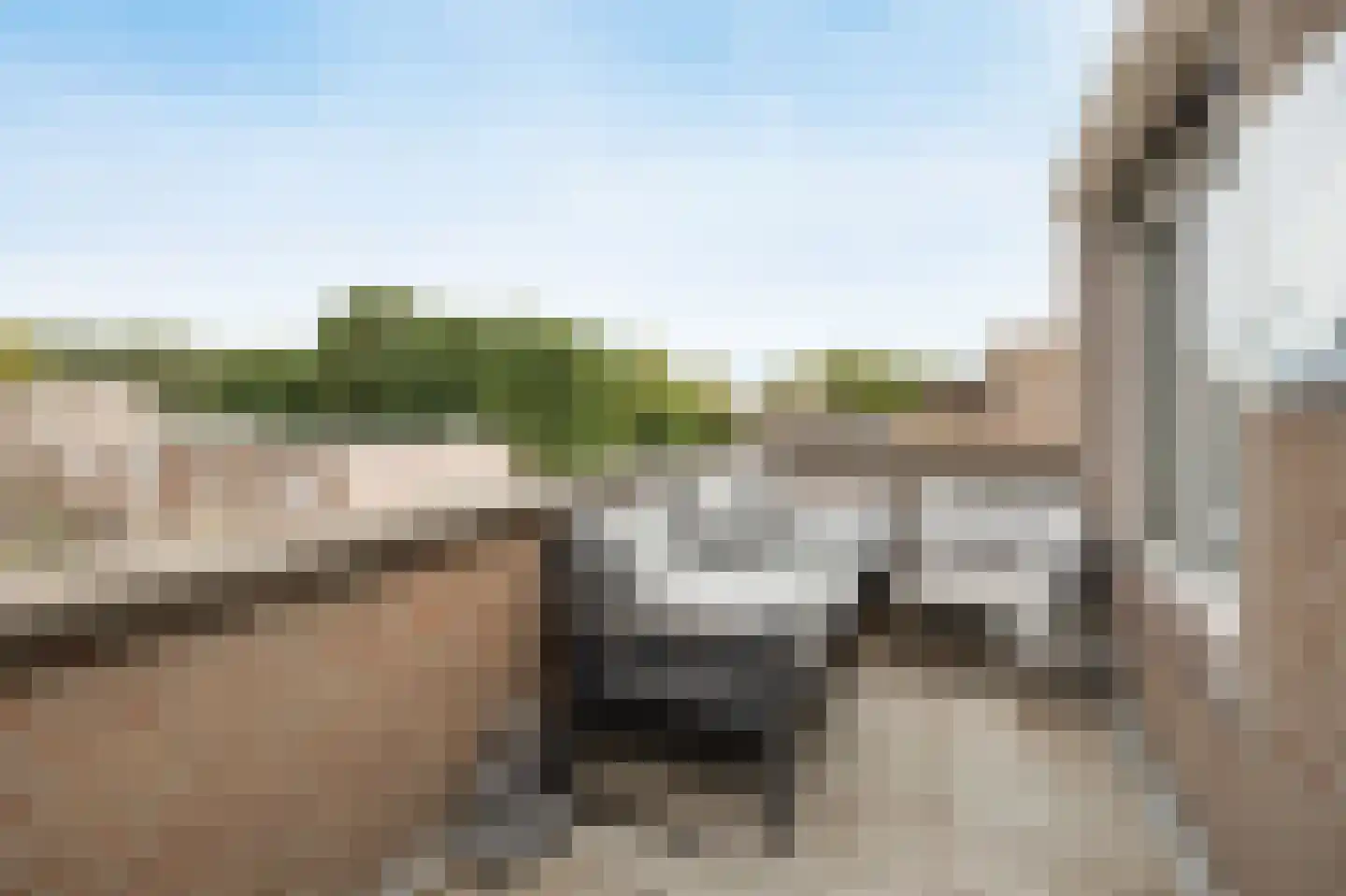 Kesterenlaan 157 Breda thumbnail 30