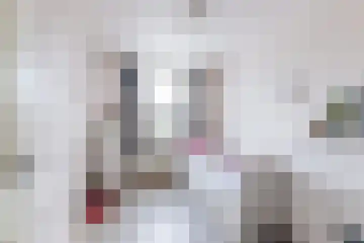 Kesterenlaan 88 Breda thumbnail 13