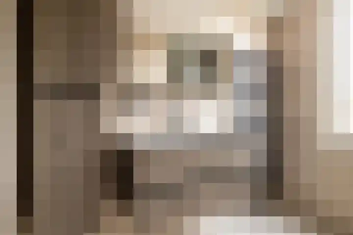 Kesterenlaan 90 Breda thumbnail 18