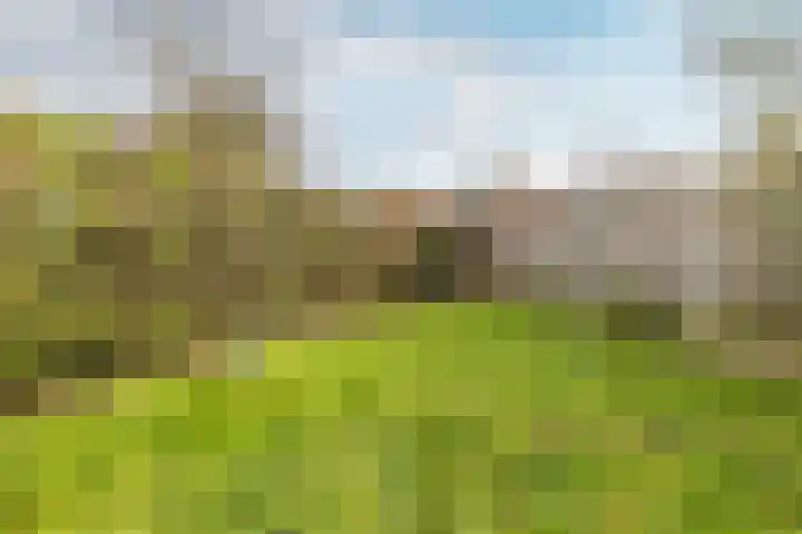Kesterenlaan 90 Breda thumbnail 28
