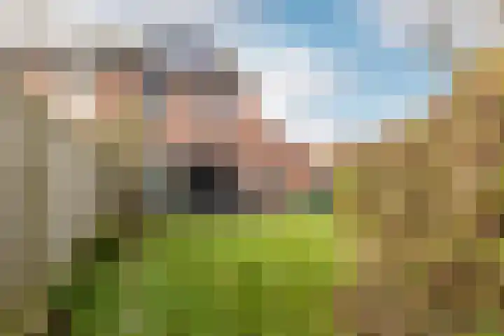 Kesterenlaan 90 Breda thumbnail 29