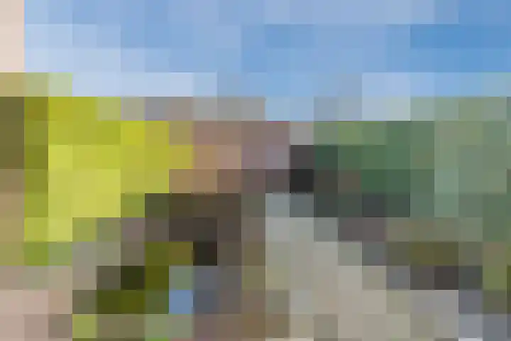 Kesterenlaan 98 Breda thumbnail 28