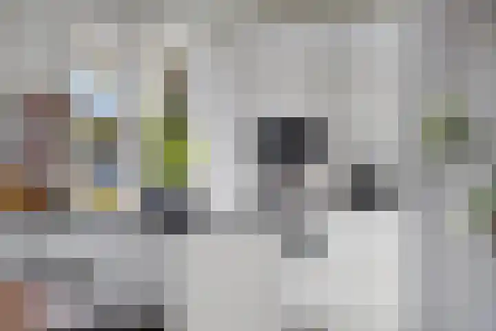 Ketelberg 9 Veldhoven thumbnail 14