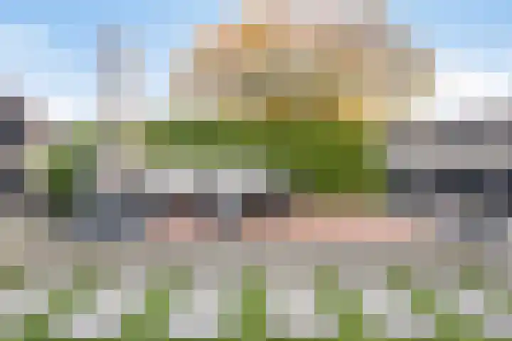 Ketelberg 9 Veldhoven thumbnail 32
