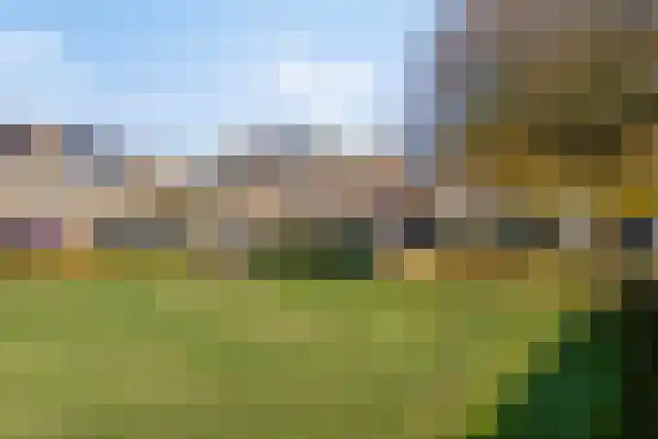 Ketelberg 9 Veldhoven thumbnail 36