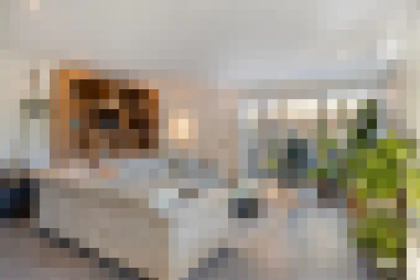 Ketelberg 9 Veldhoven thumbnail 8