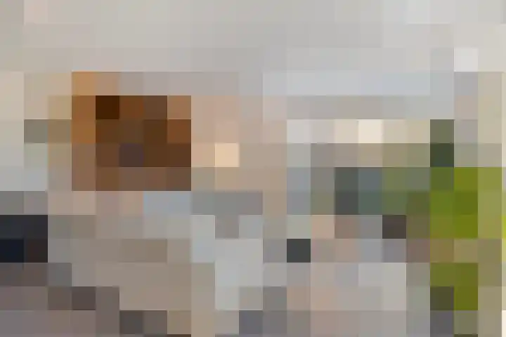 Ketelberg 9 Veldhoven thumbnail 8