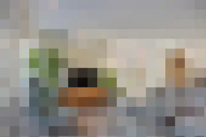 Ketelberg 9 Veldhoven thumbnail 9