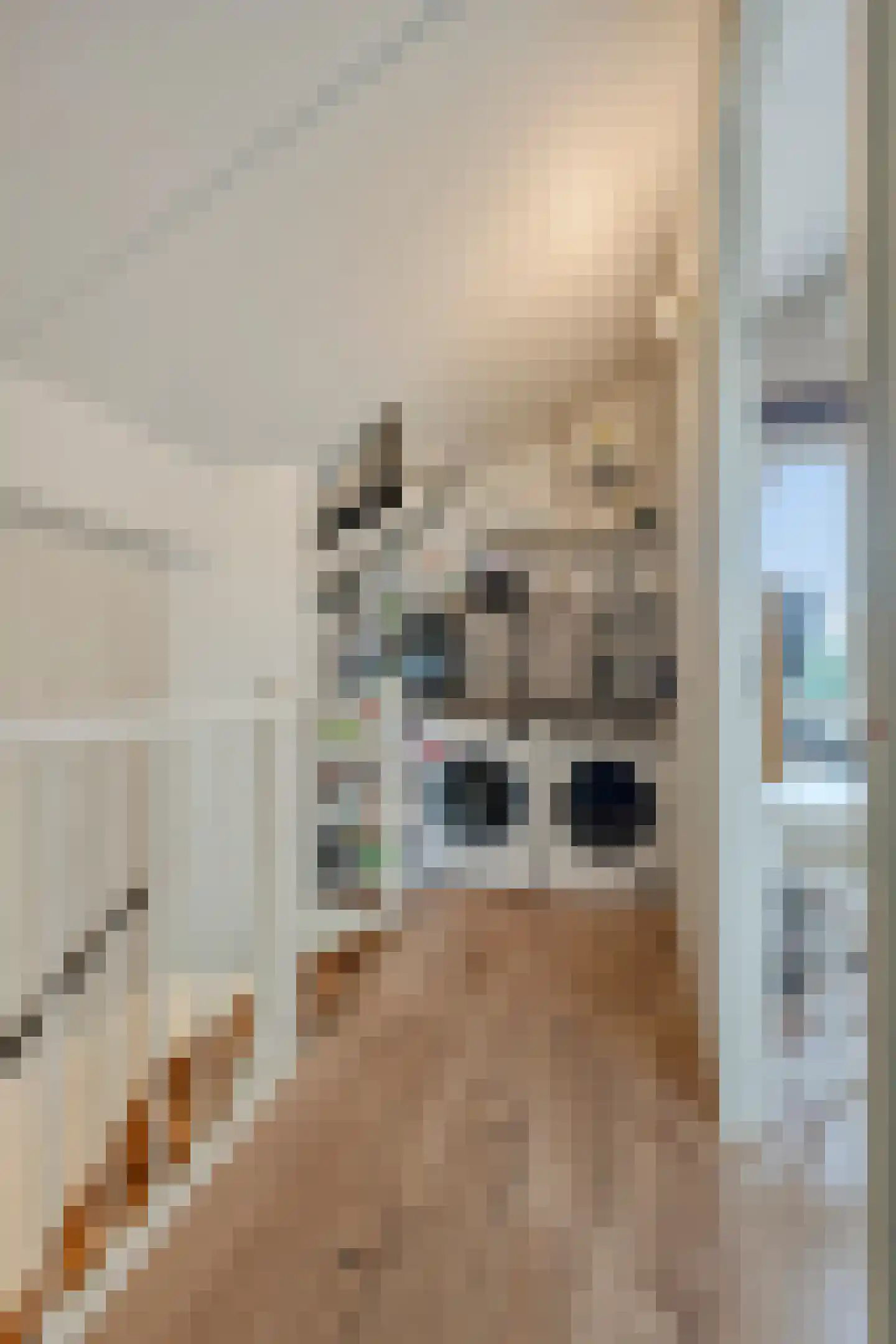 Ketelbinkiestraat 1 Almere thumbnail 23
