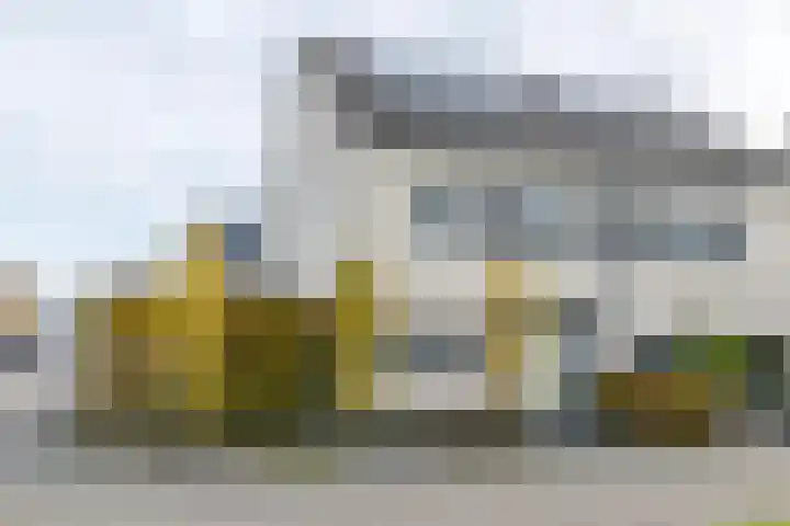 Ketelbuter 1 Nuth