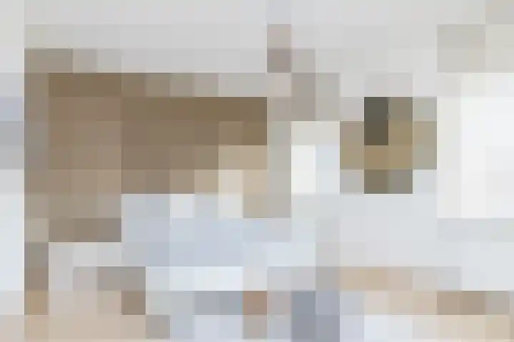 Ketelbuter 1 Nuth thumbnail 15