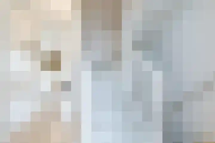 Ketelbuter 1 Nuth thumbnail 23
